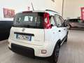 Fiat Panda City Life 1.0  HYBRID 70CV KM. CERT. FULL OPTIONAL Bianco - thumbnail 6