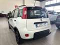 Fiat Panda City Life 1.0  HYBRID 70CV KM. CERT. FULL OPTIONAL Bianco - thumbnail 8