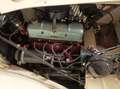MG TD Asi solo 4500 miglia Totalmente Restaurata Beige - thumbnail 12