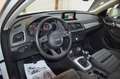Audi Q3 2.0 TDI **1.Besitz**Offroad**Quattro**Xenon** Weiß - thumbnail 14