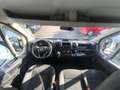 Fiat Ducato Pritsche Doppelk. Klima AHK 7 Sitze Weiß - thumbnail 16