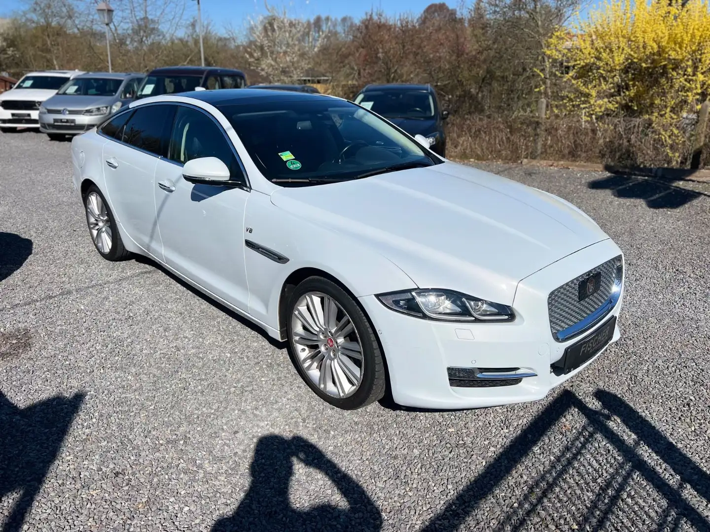 Jaguar XJ Luxury+LED+NAVI+LEDER+PANO+MERIDIAN+ Blanco - 2