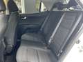 Kia Stonic 1.0 T-GDi DynamicPlusLine | Stoel/Stuur verwarming Wit - thumbnail 12