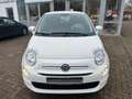 Fiat 500 Cult Blanc - thumbnail 3