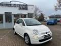 Fiat 500 Cult Blanc - thumbnail 1