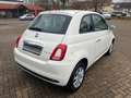 Fiat 500 Cult Blanc - thumbnail 6