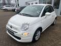 Fiat 500 Cult Blanc - thumbnail 4