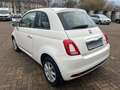 Fiat 500 Cult Blanc - thumbnail 8