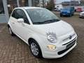 Fiat 500 Cult Blanc - thumbnail 2