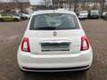 Fiat 500 Cult Blanc - thumbnail 7