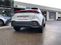 Toyota C-HR Plug-in Hybrid 2,0L GR-Sport 4x2 Grigio - thumbnail 12