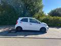 Kia Picanto Business Line** TÜV-06.2027 ** Weiß - thumbnail 7