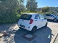 Kia Picanto Business Line** TÜV-06.2027 ** Weiß - thumbnail 4