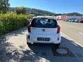Kia Picanto Business Line** TÜV-06.2027 ** Weiß - thumbnail 5