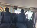 Ford Nugget Westfalia - thumbnail 19