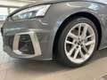 Audi A5 S-Line 40 TFSI Matrix B&O Kamera vi Grau - thumbnail 13