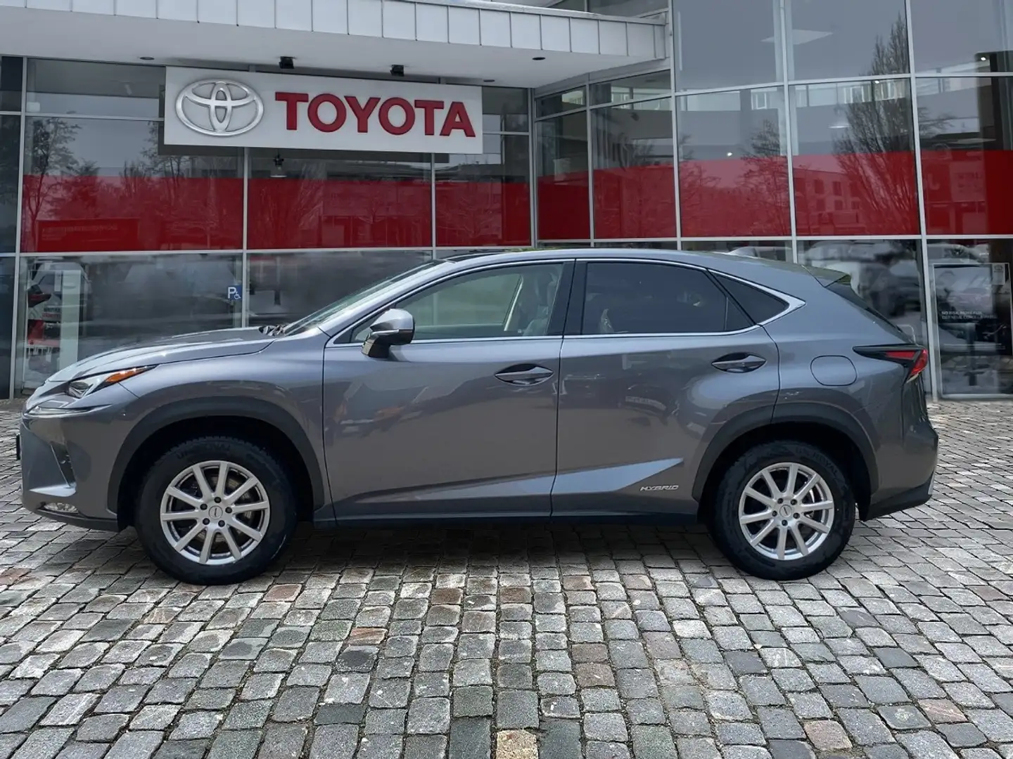 Lexus NX 300 h Executive Line Pano ParkAss. ACC Gris - 2