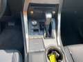 Lexus NX 300 h Executive Line Pano ParkAss. ACC Gris - thumbnail 14