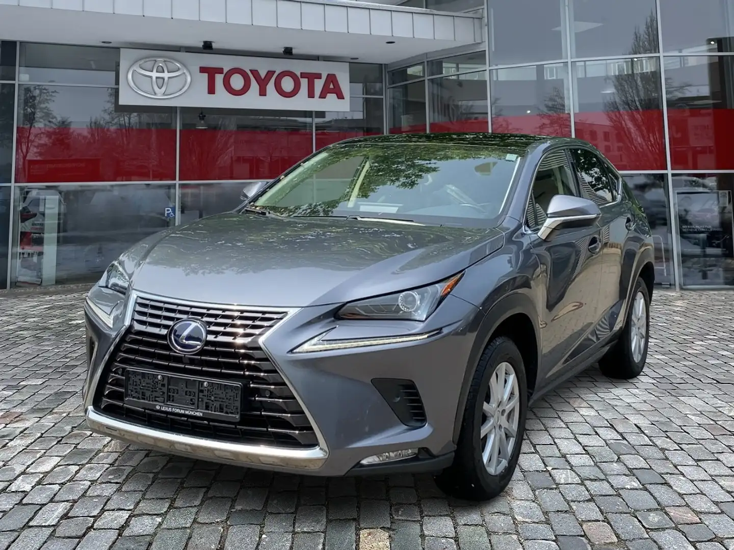 Lexus NX 300 h Executive Line Pano ParkAss. ACC Gris - 1