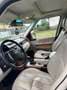 Land Rover Range Rover Range Rover TDV8 Vogue Weiß - thumbnail 4