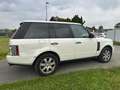 Land Rover Range Rover Range Rover TDV8 Vogue Weiß - thumbnail 3