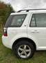 Land Rover Freelander Freelander SD4 Aut. SE Weiß - thumbnail 8