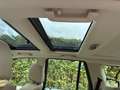 Land Rover Freelander Freelander SD4 Aut. SE Weiß - thumbnail 14