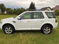 Land Rover Freelander Freelander SD4 Aut. SE Weiß - thumbnail 2