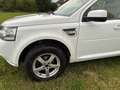 Land Rover Freelander Freelander SD4 Aut. SE Weiß - thumbnail 10