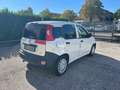 Fiat Panda 1.2 GPL Pop Van 2 posti Bianco - thumbnail 5
