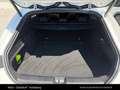 Mercedes-Benz CLA 250 + Shooting Brake mit EQ Technology Weiß - thumbnail 14