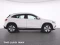 Mercedes-Benz EQA 250 Progressive+MBUX+LED-HP+EHeck+Amb+SHZ+RK Blanco - thumbnail 12