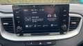 Kia XCeed 1.5 MHEV DRIVE 160 5P Gris - thumbnail 17