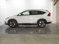 Honda CR-V 1.6 I-DTEC 118KW LIFESTYLE NAV P 4WD AT 160CV 5P Wit - thumbnail 7