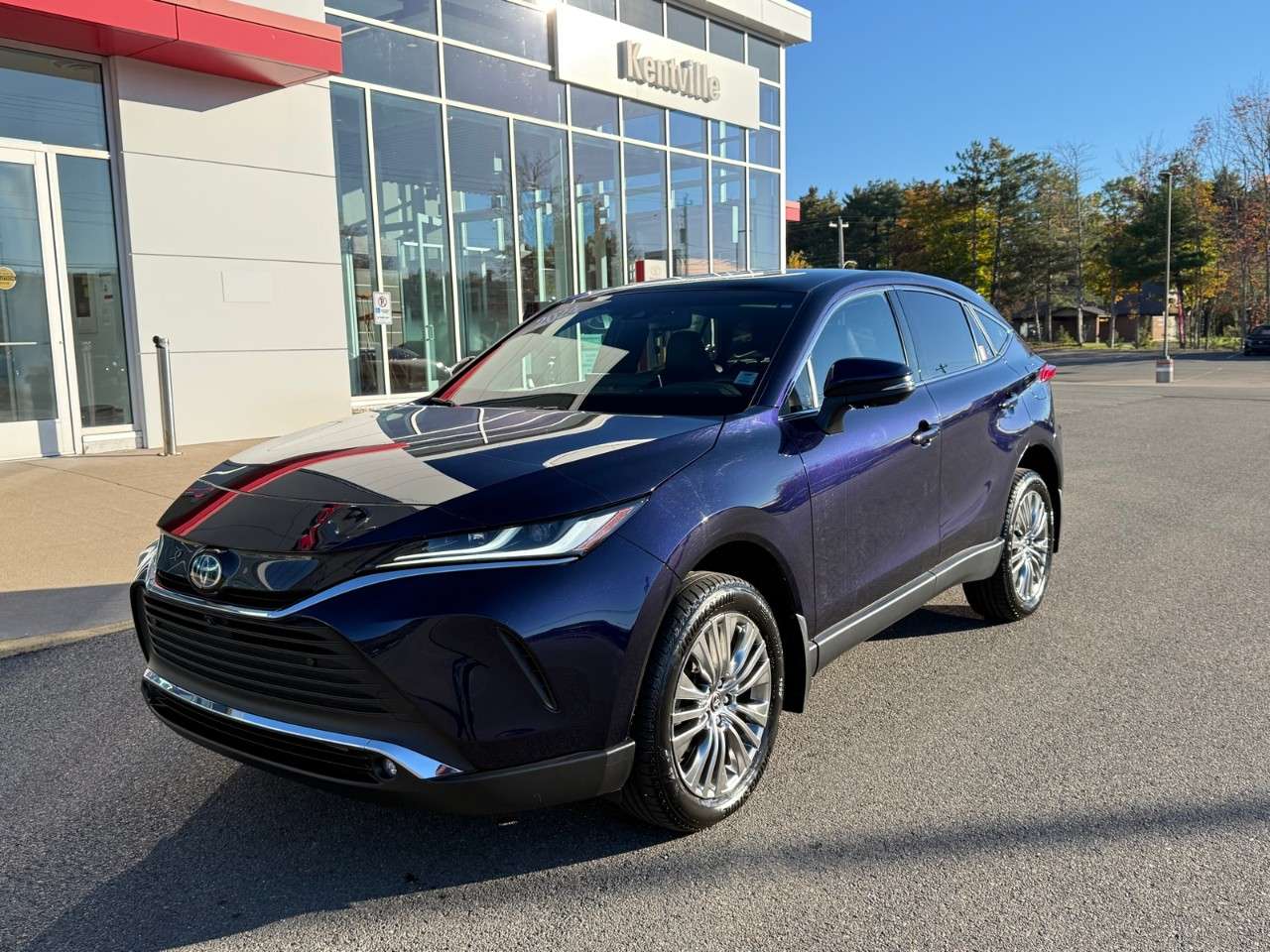 2024 Toyota Venza Limited AWD
