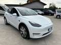 Tesla Model Y Model Y Long Range Dual Motor awd-Unicoproprietar Bianco - thumbnail 3