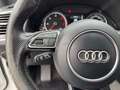 Audi Q5 AUT Weiß - thumbnail 14