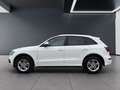 Audi Q5 AUT Weiß - thumbnail 4