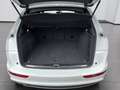 Audi Q5 AUT Weiß - thumbnail 23