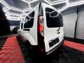 Renault Kangoo 🔺RENAULT MAXI LONG* UTILITAIRE* ETAT NEUF🔺 Blanc - thumbnail 4