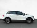 Volkswagen Tiguan 1.5 TSI 6-Gang /AHK/Sitzhz/CarPlay/LED Weiß - thumbnail 6