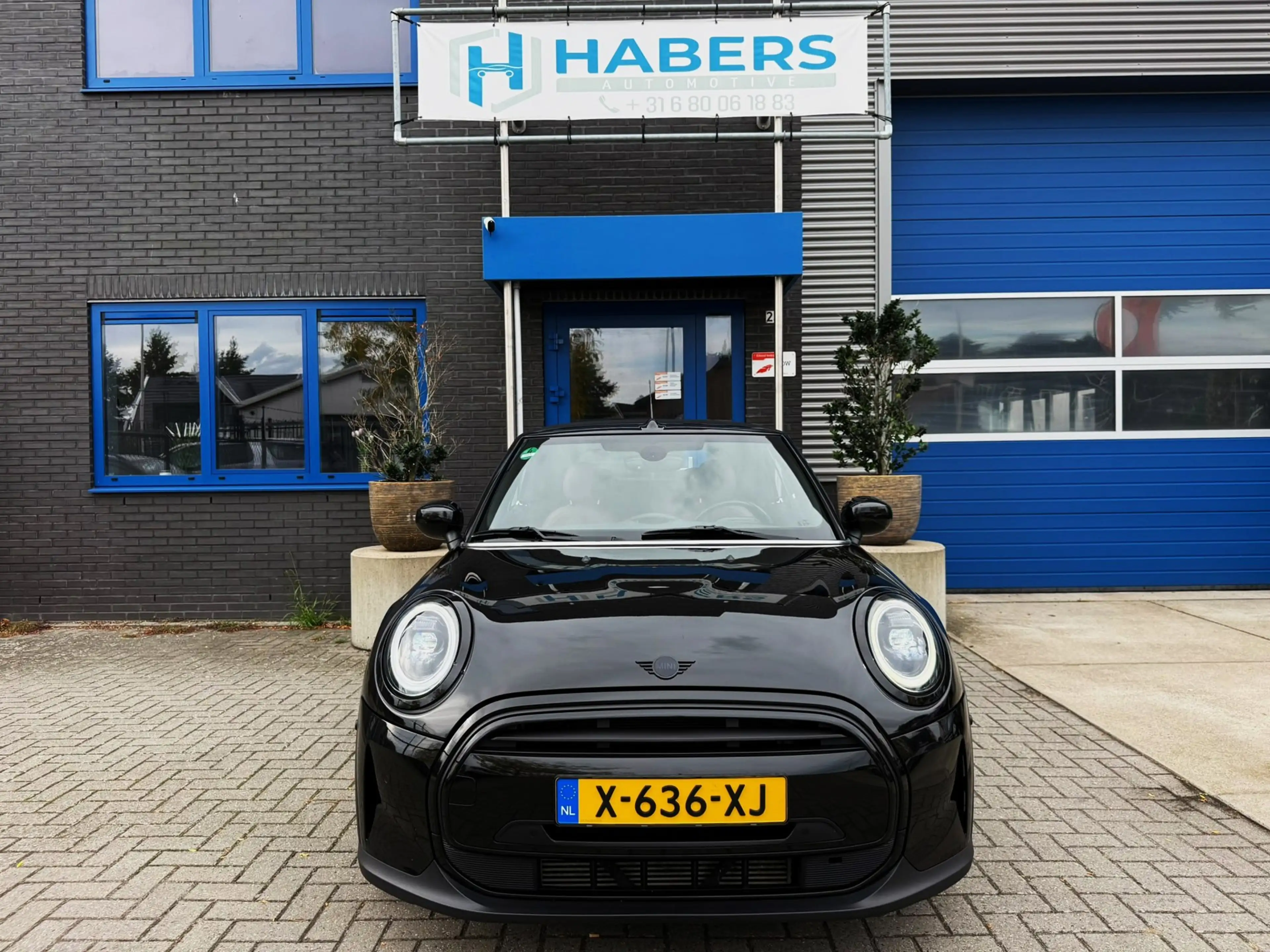 MINI Cooper Cabrio 1.5 MINI Yours 136PK|Matrix Led|AUT|Navi|Cabrio|Ca — photo 2