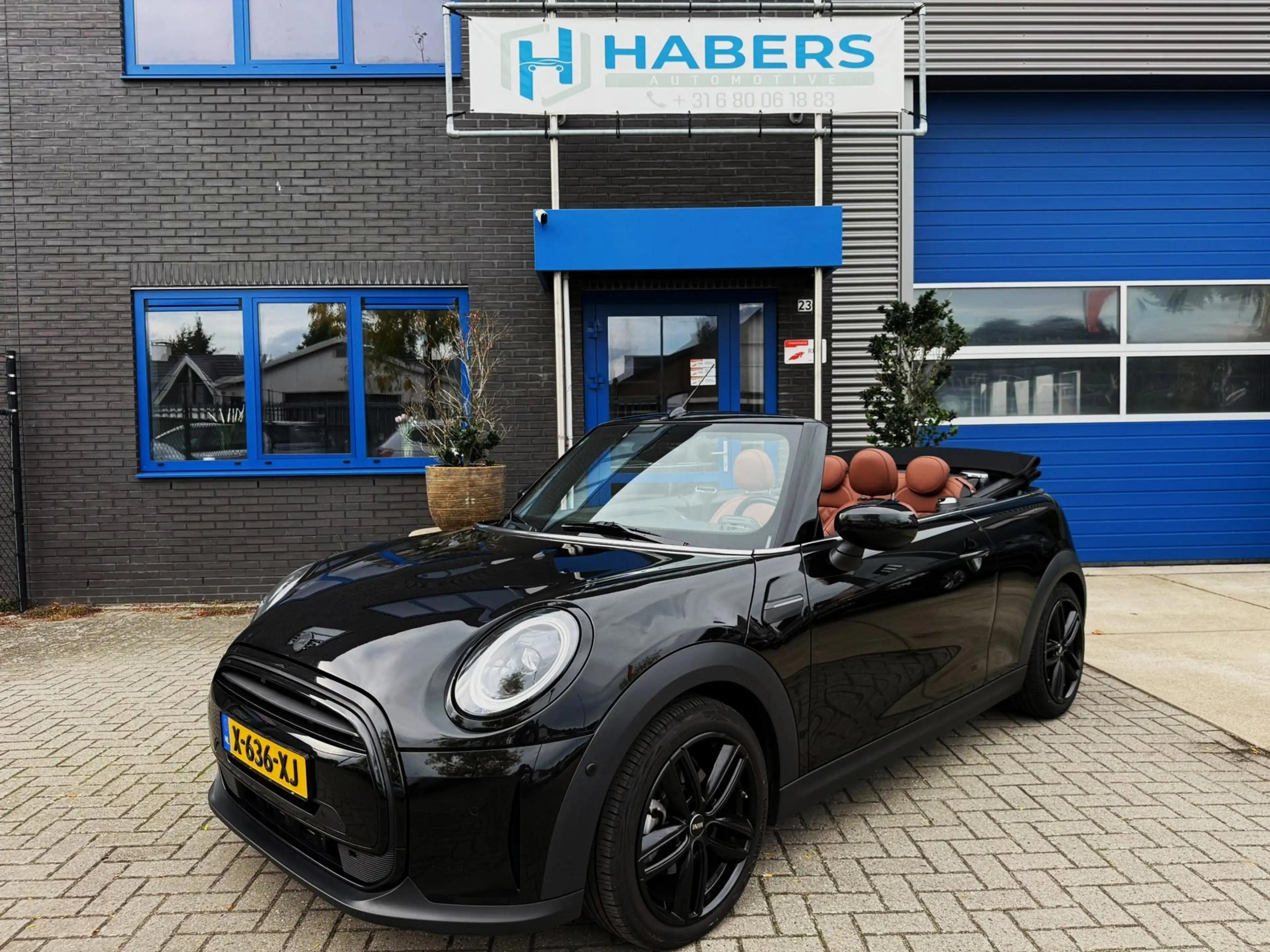 MINI Cooper Cabrio 1.5 MINI Yours 136PK|Matrix Led|AUT|Navi|Cabrio|Ca — photo 4