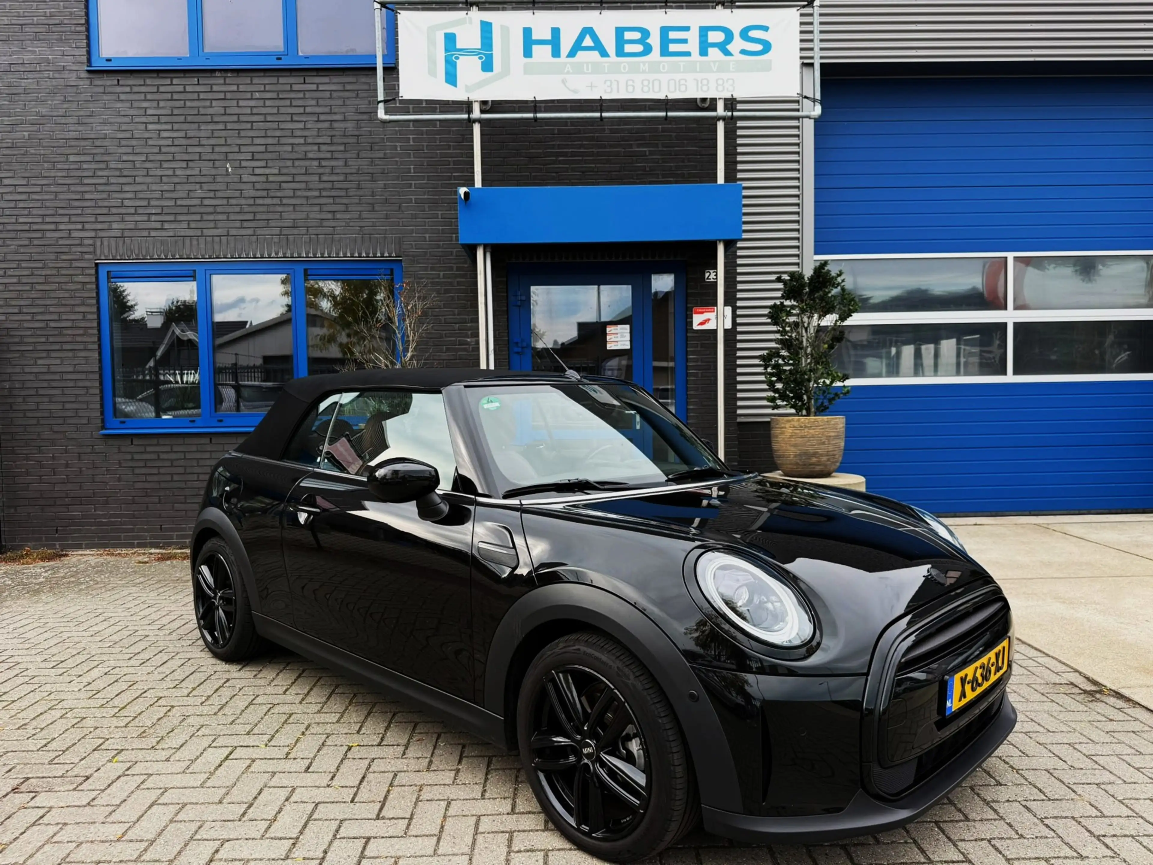MINI Cooper Cabrio 1.5 MINI Yours 136PK|Matrix Led|AUT|Navi|Cabrio|Ca — photo 12