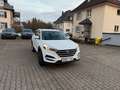 Hyundai TUCSON 1.6  blue Classic 2WD Navigation Weiß - thumbnail 2
