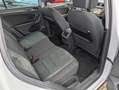 Volkswagen Tiguan 2.0 TSI 4Motion BMT DSG Highline 1.Hand/S Weiß - thumbnail 13
