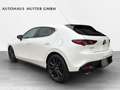 Mazda 3 2.5L e-SKYACTIV G 140ps 6MT FWD Homura Weiß - thumbnail 4