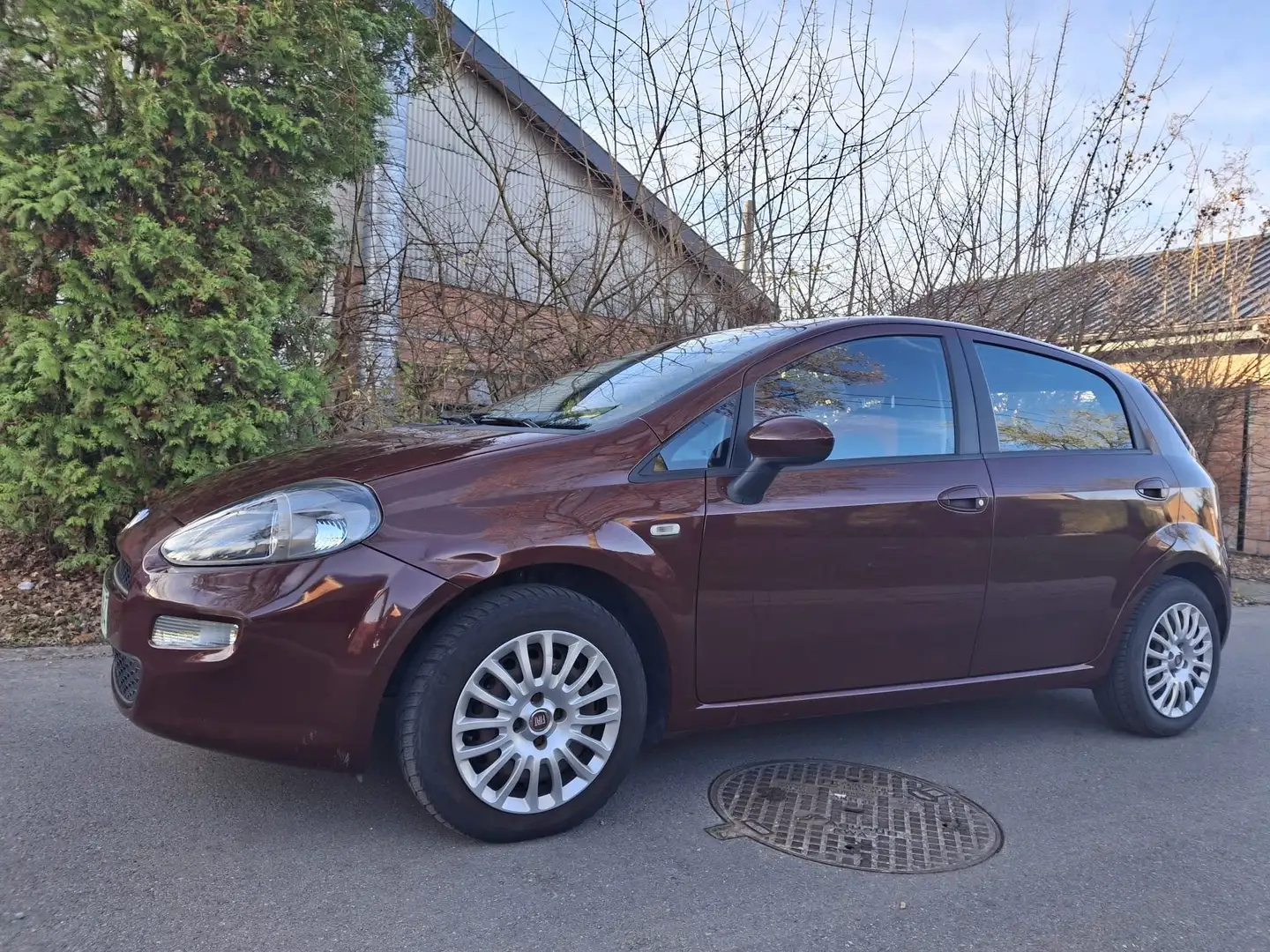 Fiat Punto Punto Rouge - 1