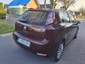 Fiat Punto Punto Rouge - thumbnail 6