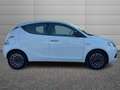 Lancia Ypsilon Ypsilon 1.0 firefly hybrid Gold s&s 70cv Bianco - thumbnail 3